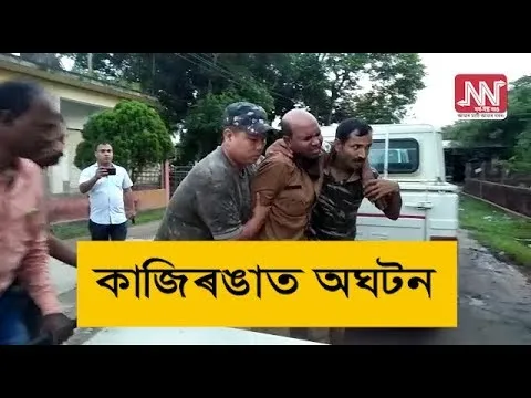 কাজিৰঙাত বনৰীয়া ম’হৰ আক্ৰমণত বনকৰ্মী আহত