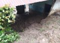 Arunachal pradesh school