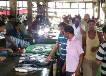 Chalani-fishes-being-sold-in-Silchars-biggest-market-Fatak-Bazaar-on-second-day-of-its-ban-by-Assam-Government