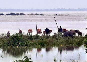 Dibru Saikhowa National Park