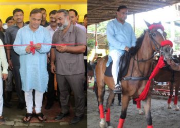 Himanta-1140x570