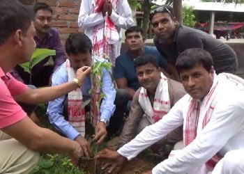 বঢ়মপুৰ প্ৰেছ ক্লাবৰ দ্বাদশ প্ৰতিষ্ঠা দিৱসত ১০০০টা গছপুলি বিতৰণ