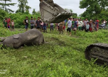 শদিয়াত বানপানীত খাদ্যৰ অভাৱত ভুগি বনৰীয়া হাতীৰ মৃত্যু