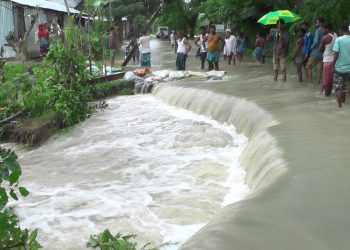 ব্ৰহ্মপুত্ৰৰ বাঢ়নী পানীত প্লাৱিত বুঢ়াচাপৰি বন্যপ্ৰাণী অভয়াৰণ্যৰ প্ৰায় দহটাকৈ বন শিবিৰ