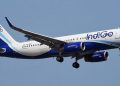 Indigo-750x375