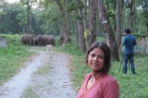 Mubina-Akhtar-Elephant smugglers network run across Assam, Arunachal Pradesh and Nagaland