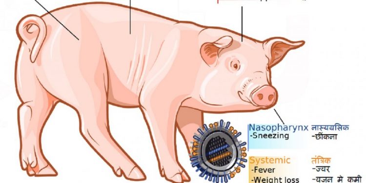 Assam records first case of swine flu death this year