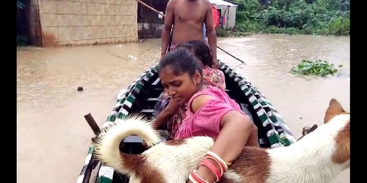 WhatsApp Image 2019-07-16 at 4.51.39 PM