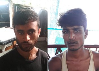 cow smuggler arrested