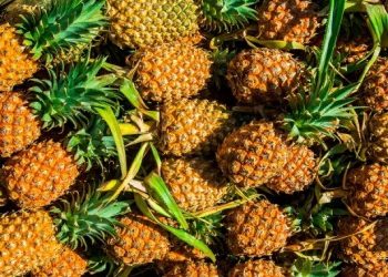 pineapple