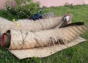গোৱালপাৰাৰ দৰংগিৰিত ‘লাডেন’ৰ আক্ৰমণত নিহত শাহু-বোৱাৰী