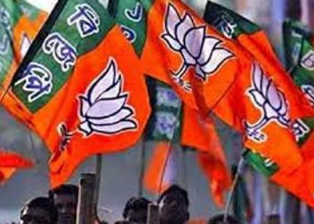 bjp flag