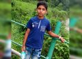 জাগুনত জাপানীজ এনকেফেলাইটিছত আক্ৰান্ত হৈ ১২ বছৰীয়া কিশোৰৰ মৃত্যু