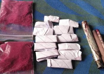 অৰুণাচলৰ মেও’ত ব্ৰাউন চুগাৰসহ মহিলা আটক