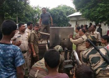 forest department operation