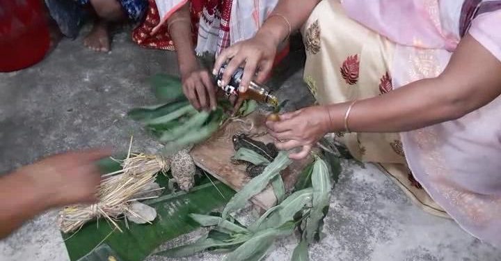 No Rain, people take Frog wedding route in Assam's Puranigudam