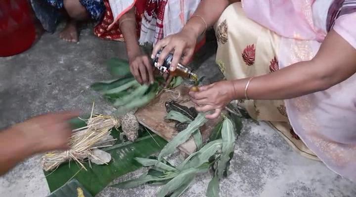 No Rain, people take Frog wedding route in Assam's Puranigudam