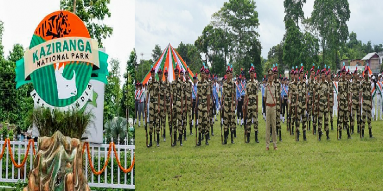 Kaziranga National Park