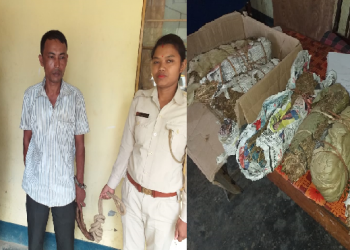 Sivsagar cannabies story