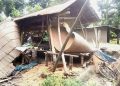চামগুৰিৰ লাওখোৱাত বনৰীয়া হাতীৰ উপদ্ৰৱ ; ভাঙিলে দুটাকৈ বাসগৃহ