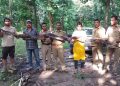 Python rescued