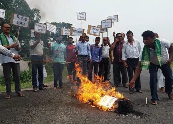 আজান পীৰৰ সন্দৰ্ভত কটু মন্তব্য কৰা শিলাদিত্য দেবৰ প্ৰতিকৃতি দাহ নগাঁৱত