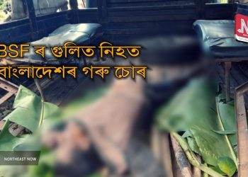 হাইলাকান্দিত BSFৰ গুলীত বাংলাদেশৰ গৰুচোৰ নিহত