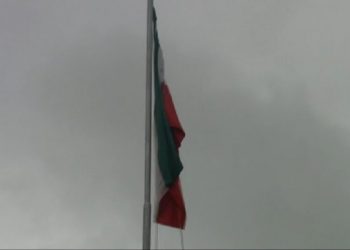 Indian tri colour