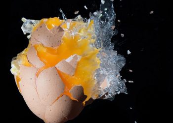 "Microwave''-way expolodes eggs in UK