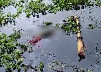 local women dead body