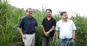 চামগুৰি দুলু বৰা