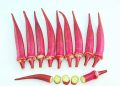 Red lady Finger