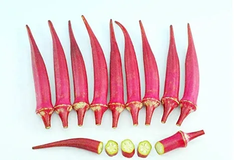Red lady Finger