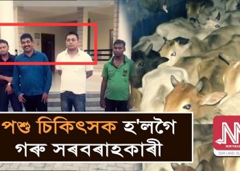 চোৰাং গৰুৰ ট্ৰাকৰ সৈতে পশু চিকিৎসক আৰু পশুধনৰ অবৈধ সৰবৰাহৰ বিৰুদ্ধে কাম কৰা সংগঠনৰ সম্পাদকক আটক