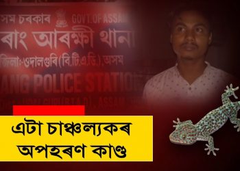 ৰহস্য! অপহৰণ, কেকো সাপৰ ব্যৱসায় আৰু এটা পাক ঘূৰণি খোৱা অপৰাধৰ কাহিনী