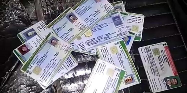 Driving License