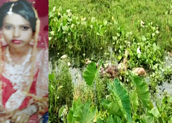 Krishnai Story