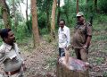 বাতৰি সংগ্ৰহ কৰিবলৈ যোৱা সাংবাদিকক দুৰ্ব্যৱহাৰ শালনা আঞ্চলিক বন বিষয়াৰ