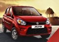 alto_800