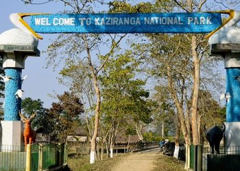 kaziranga-national-park Time's UP: Assam returns Rs.24.57 crore to centre for failing to execute livelihood project