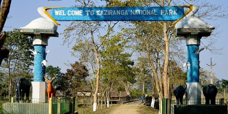 kaziranga-national-park Time's UP: Assam returns Rs.24.57 crore to centre for failing to execute livelihood project