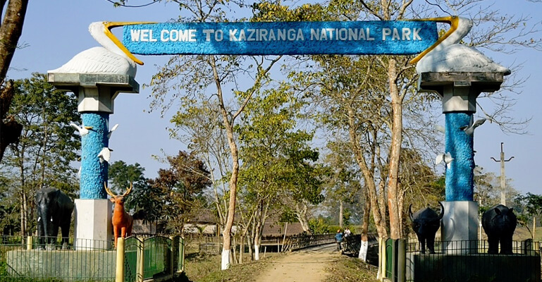kaziranga-national-park Time's UP: Assam returns Rs.24.57 crore to centre for failing to execute livelihood project