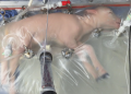 Artificial womb: No longer a distant dream?