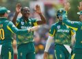 proteas