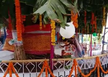 Tree couple's marriage anniversary held in Guwahati