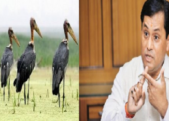 Assam CM story