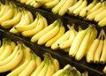 Banana Main Photo