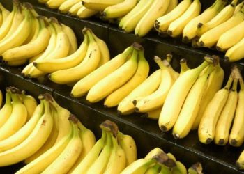 Banana Main Photo