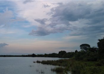 Dhansiri river