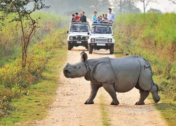 Kaziranga National Park
